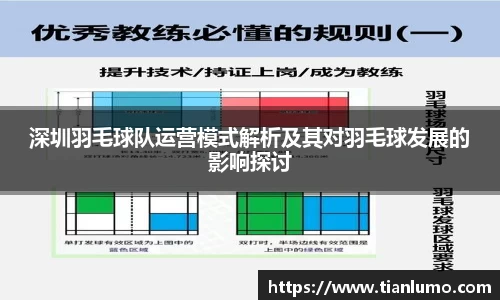 深圳羽毛球队运营模式解析及其对羽毛球发展的影响探讨