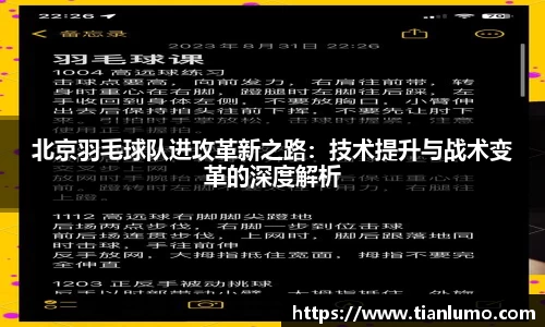 北京羽毛球队进攻革新之路：技术提升与战术变革的深度解析