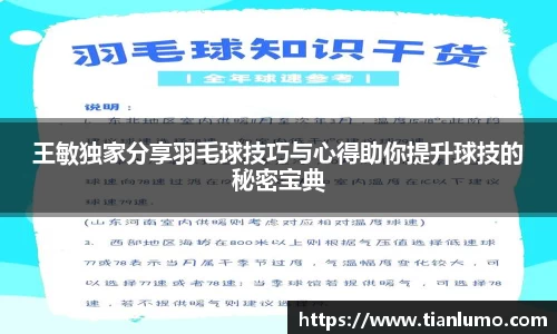 王敏独家分享羽毛球技巧与心得助你提升球技的秘密宝典