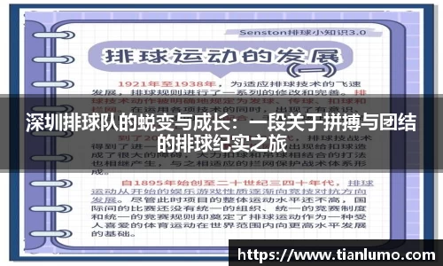 深圳排球队的蜕变与成长：一段关于拼搏与团结的排球纪实之旅
