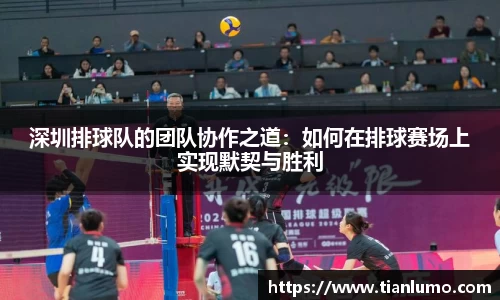 深圳排球队的团队协作之道：如何在排球赛场上实现默契与胜利