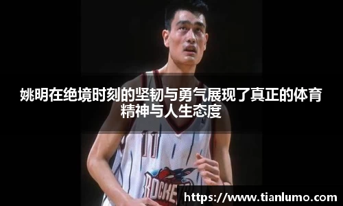 k1体育十年品牌